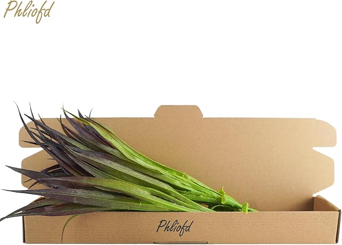 6Pcs Artificial Grass Fake Grass Plants 17.3in Outdoor Plants UV Resistant Faux Greenery Stems for Home Window Garden Office Patio Pathway Front Porch Halloween Décor Light Green & Purple-VerdiqueGarden