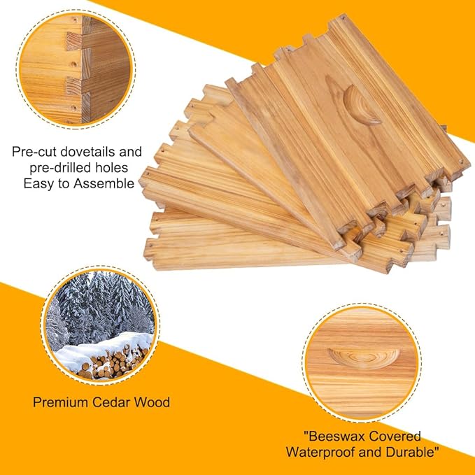 POLLIBEE 10 Frame Bee Hive,Beeswax Coated Beehive Kit for Bee Keeper,Complete Beehive Include 1 Deep Brood Bee Box and 1 Medium Bee Hive Box with Frame and Foundation-VerdiqueGarden