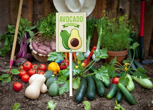 Eveokoki Aluminum Seed & Plant Labels - Plant Markes for Seedlings-Plant Tags for Pots - Garden Signs for Vegetable - Durable Markers for Plants Outdoor Waterproof - Garden Decor for Farmhouse-VerdiqueGarden