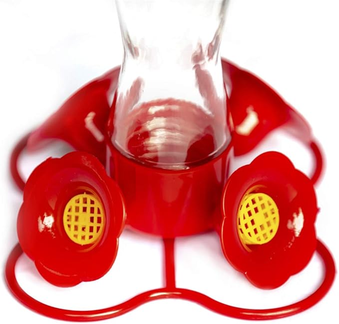 Nature's Rhythm Bird Feeder 4 bee Guard Plastic Feeding Port 8oz Glass Pinch Waist Hummingbird Feeder,1pcs-VerdiqueGarden