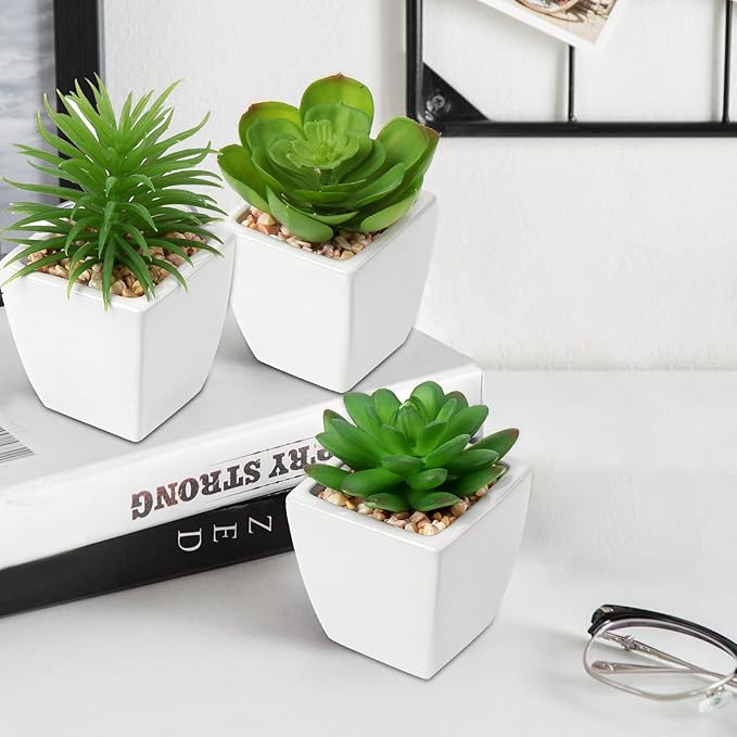 Hollyone Succulents Plants Artificial 3Pcs Small Fake Succulents in Pots Faux Plastic Potted Plants with White Ceramic Pot for Home Decor Classroom Office Bathroom Shelf Indoor & Outdoor Decorations-VerdiqueGarden