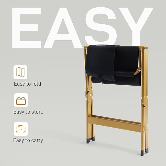EVER ADVANCED Aluminum Directors Chair, Folding Studio Movie Chairs Camping Event Vendor Chair, 19" Seat Height Black Fabric/Golden Frame, Support 350lbs-VerdiqueGarden