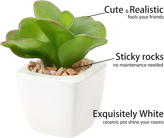 Hollyone Succulents Plants Artificial 4Pcs Small Fake Succulents in Pots Faux Plastic Potted Plants with White Ceramic Pot for Home Decor Office Desk Bathroom Shelf Indoor & Outdoor Decoration-VerdiqueGarden