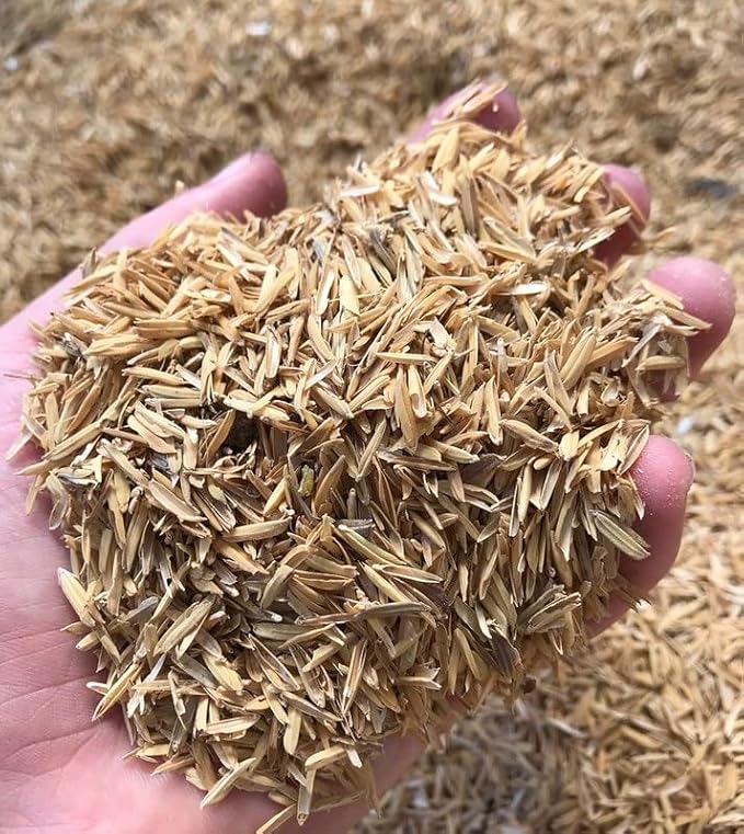 Enhance Plant Growth and Soil Health with Gardenera Horticultural Organic Rice Hulls - A Renewable and Biodegradable Solution - 2 QUARTS-VerdiqueGarden