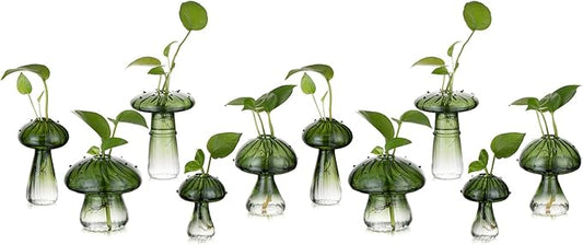 Glasseam Mushroom Plant Propagation Stations: Green Glass Terrarium Jar Set of 10 Cute Planters for Indoor Plants Mini Propagate Station Unique Christmas Birthday Gifts for Women Home Office Decor-VerdiqueGarden