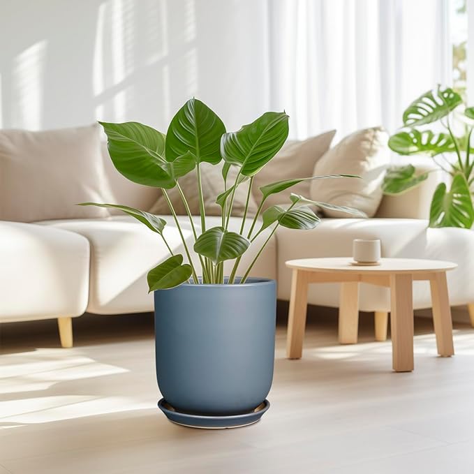 10 Inch Plant Pot - Ceramic Pot for Indoor Plants Outdoor Planter Large Flower Pot with Drainage Hole and Saucer Cylinder Gray-VerdiqueGarden