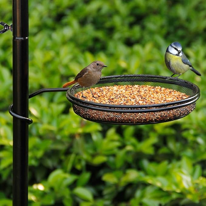 yosager Premium Bird Feeding Station Kit, 75" x 21" Bird Feeder Pole, A Multi Feeder Hanging Kit with Metal Suet and Bath for Attracting Wild Birds, Birdfeeder and Planter Hanger-VerdiqueGarden