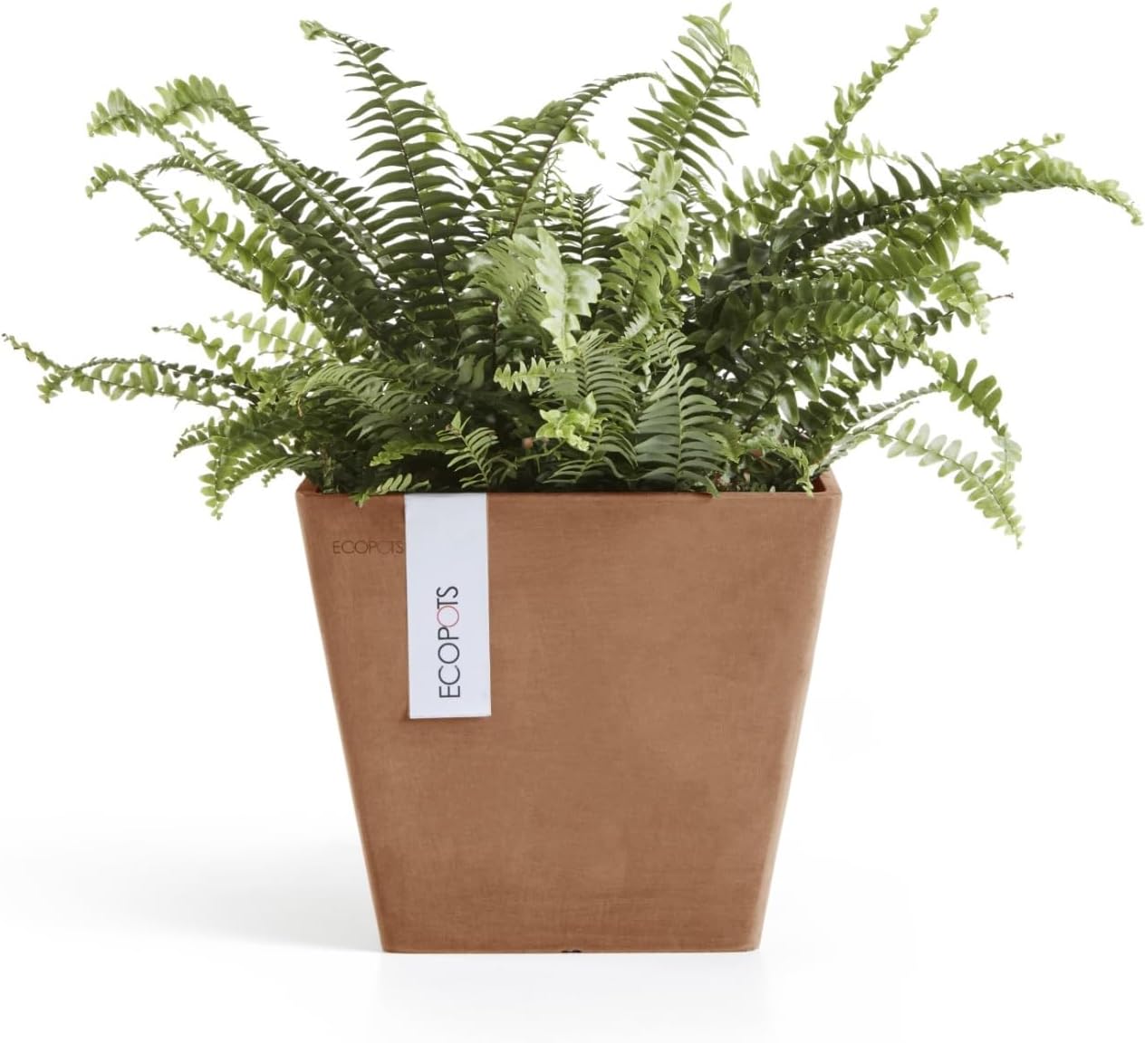 Ecopots Rotterdam Durable Modern Square Indoor/Outdoor Recycled-Based Composite Flower Planter, Terracotta Color, 8"-VerdiqueGarden