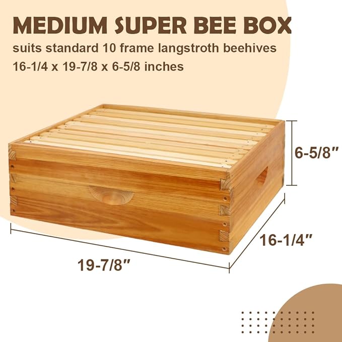 10 Frame Bee Hive Box, Langstroth Medium Super Bee Box Dipped in 100% Beeswax Include Beehive Frames and Waxed Foundation Sheets (Unassembled)-VerdiqueGarden