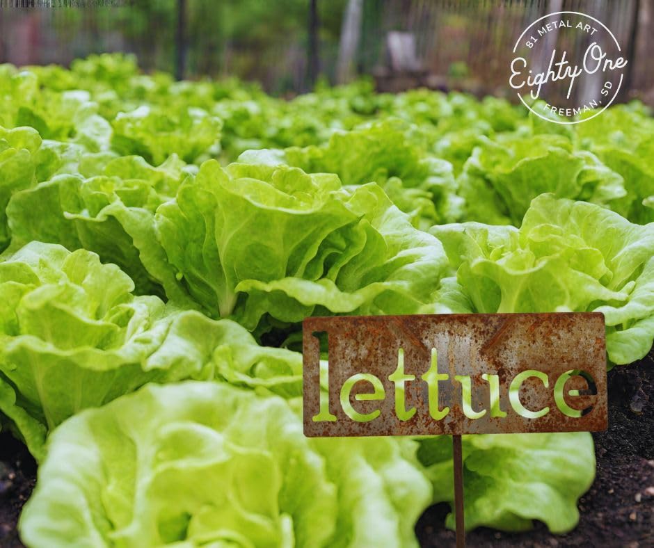 Classic Metal Garden Markers 19 Inches Tall (lettuce, Naturally Rusted)-VerdiqueGarden