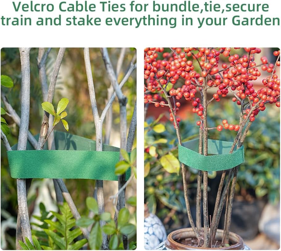 Plant Clips Plant Ties Set, 50 FT Reusable Plant Ties and 100 PCS Support Clips for Climbing Plants Orchid Flower Stems Vines Tomato, Garden Plant Support Cables for Indoor OutdoorPlants-VerdiqueGarden