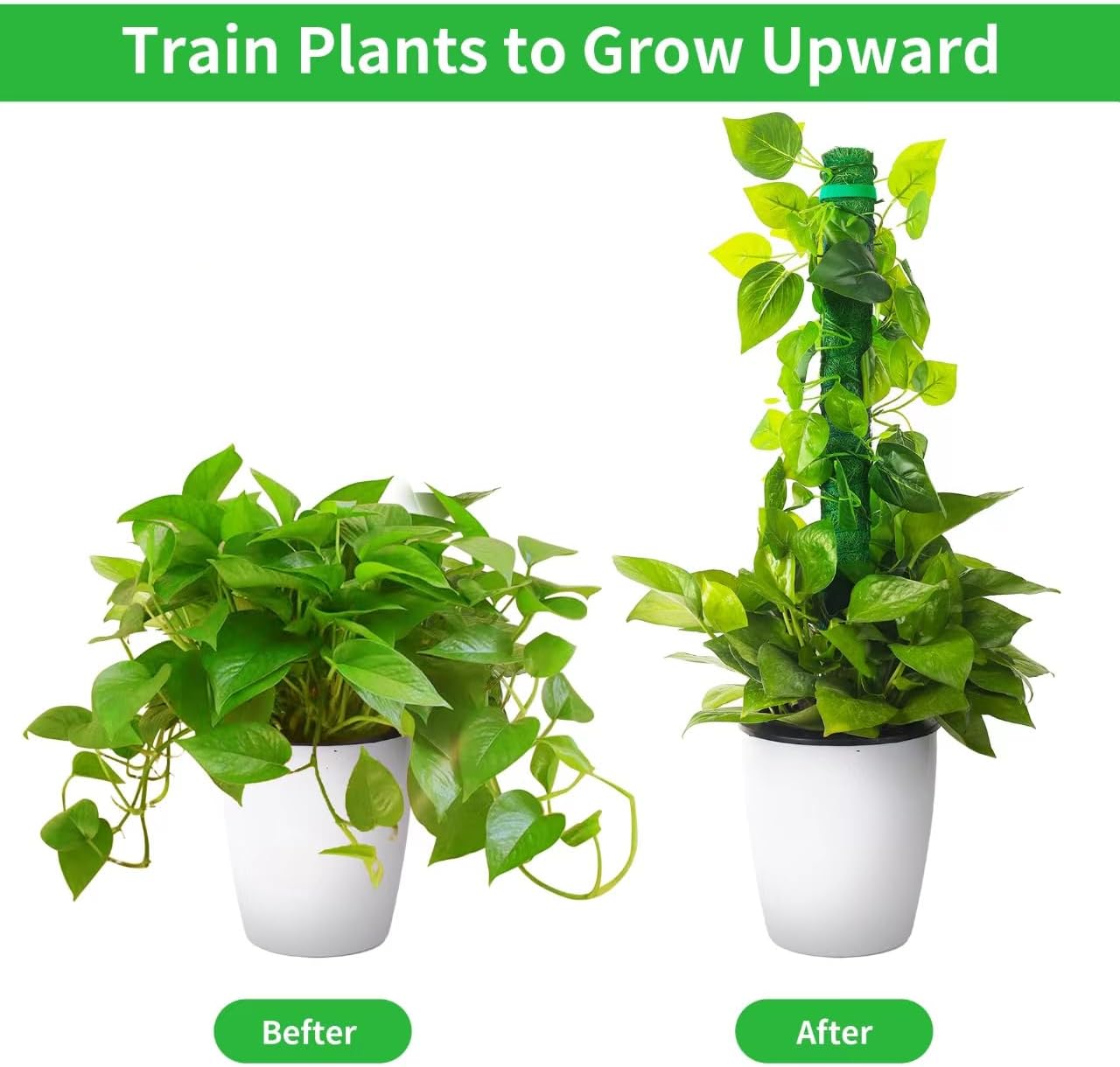 2 Pack Moss Pole, LveSunny 16 Inch Green Stackable Monstera Plant Support, Ideal Moss Poles for Climbing Plants, Moss Pole for Plants Indoor, Plant Support Stakes for Monstera and Potted Plants-VerdiqueGarden