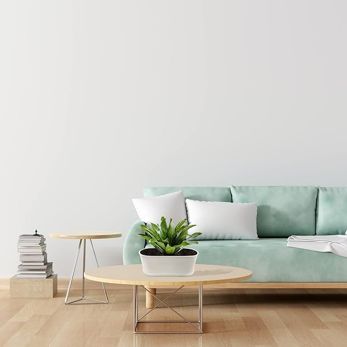 10-Pack Herb Planter with Saucer for Plant Window Box, Plastic Planter with Multiple Drainage Holes and Tray for home Garden Succulents Modern Decorative Window Planter Box Flower Pots Gardening Pot-VerdiqueGarden