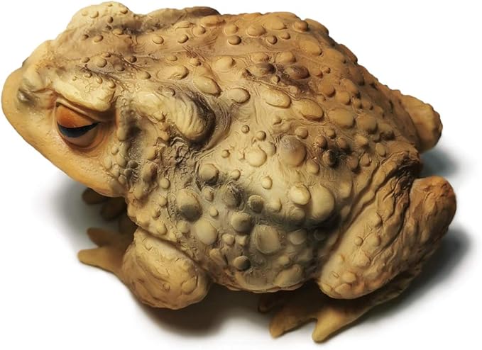 Sunthus Frog Toad Sculptures Garden Statues Yard Art Resin Decorations Outdoor Garden Decor-VerdiqueGarden