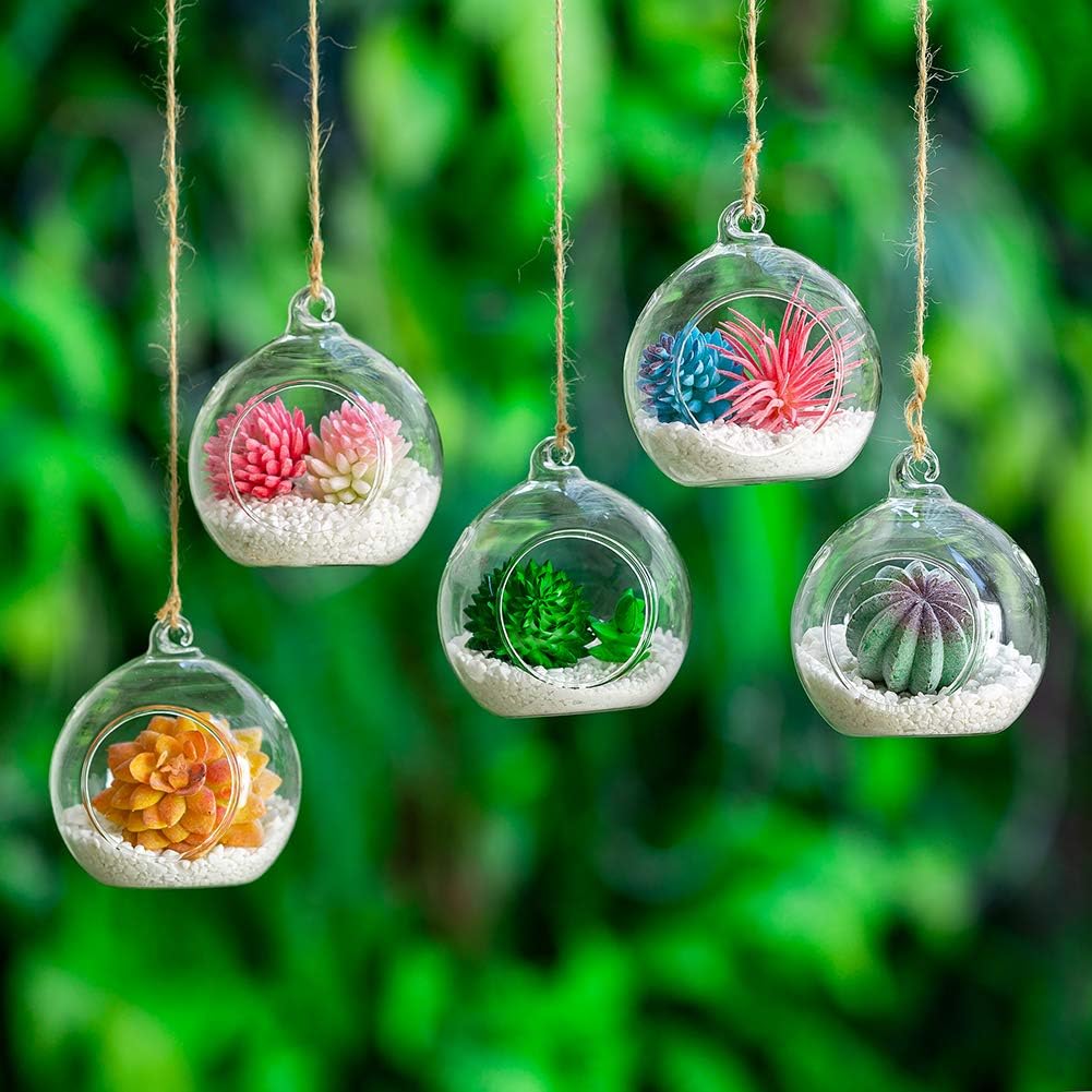 12 Pcs 3.15"/ 8cm Hanging Glass Tealight Holder Globe Plant Terrariums Glass Orbs Air Plants Tea Light Candle Holders Home Decor Indoor Outdoor Garden (with 2 Holes, 9 Pcs + 3 Pcs)-VerdiqueGarden