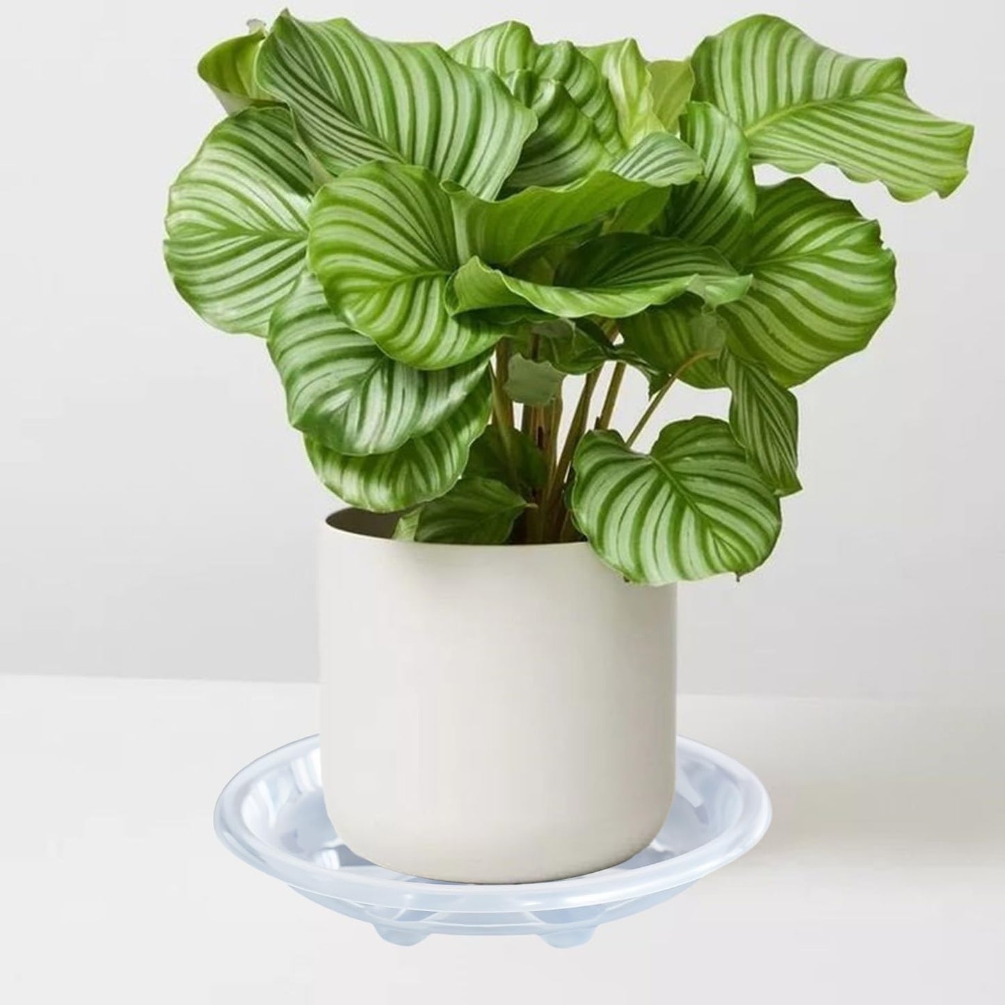 12 Pack of Plant Saucer 6 8 10 inch, Heavy Duty Clear Plastic Plant Saucers, Plant Drip Trays for Indoors Outdoor, Plant Water Plate for Planters-VerdiqueGarden