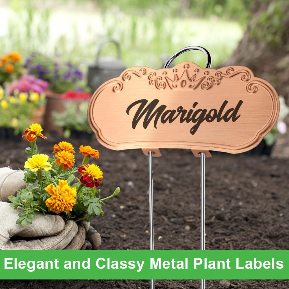 30 PacksTCYPUHL Metal Plant Labels, Tall Outdoor Garden Markers for Flowers, Fruits and Vegetables, 304 Stainless Steel Weatherproof Signs (4" x 1.9", Silver, Black and Gold)-VerdiqueGarden