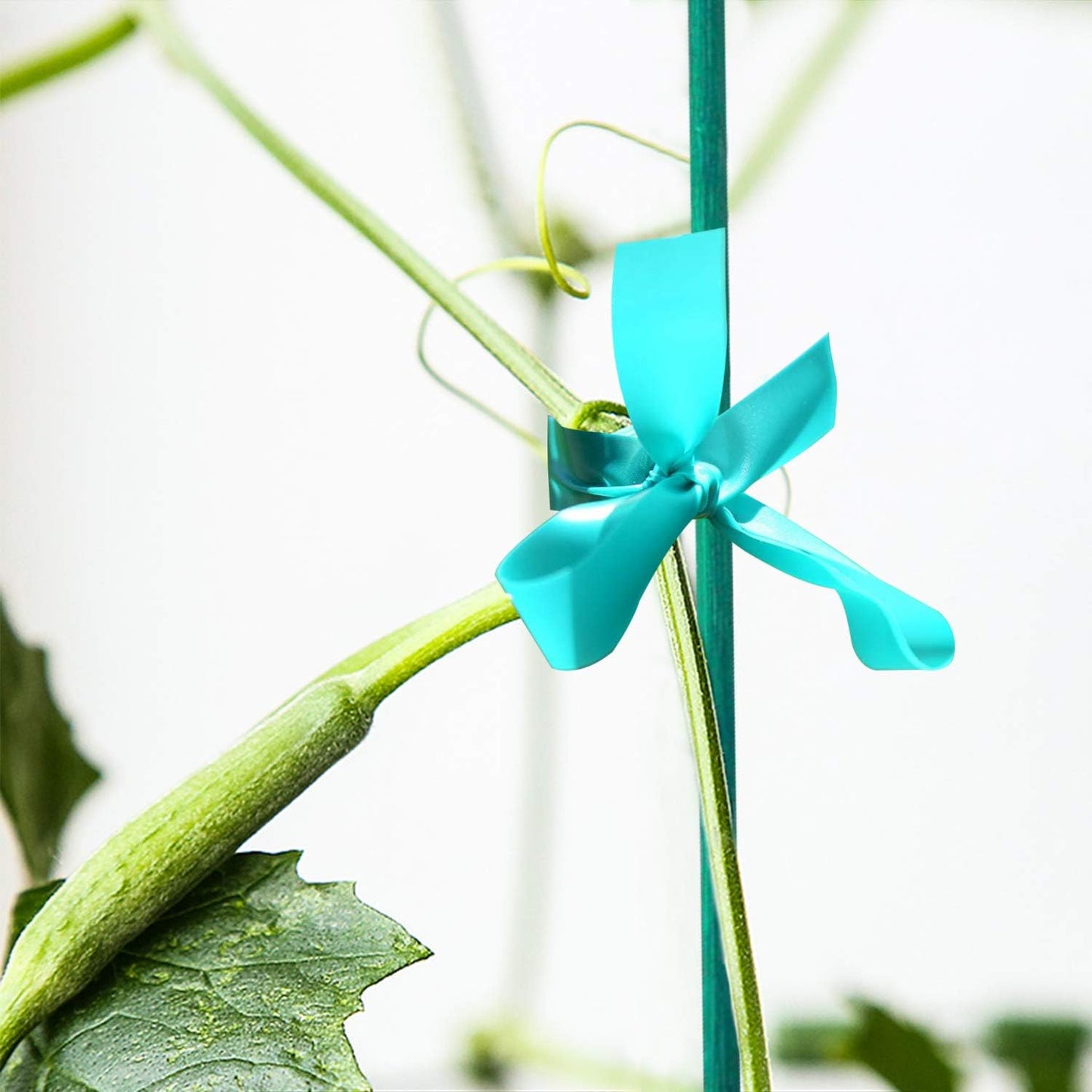 Coobbar Stretch Tie Tape, 0.5 Inch Wide Stretch Tie Tape Garden Tie Tape Thick Plant Ribbon Garden Green Vinyl Stake for Indoor Outdoor Patio Plant Use (600 Feet)-VerdiqueGarden