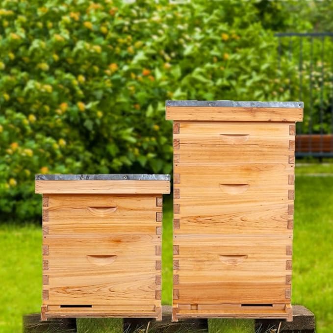POLLIBEE 10 Frame Bee Hive,Beeswax Coated Beehive Kit for Bee Keeper,Complete Beehive Include 1 Deep Brood Bee Box and 1 Medium Bee Hive Box with Frame and Foundation-VerdiqueGarden