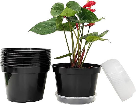 12 Pack Plant Pots, 8 Inch Plant Planter with Clear Saucer, Plastic Pots for Plants Indoor and Out Door Such as Strawberry, Herb and Flowers (Black)-VerdiqueGarden