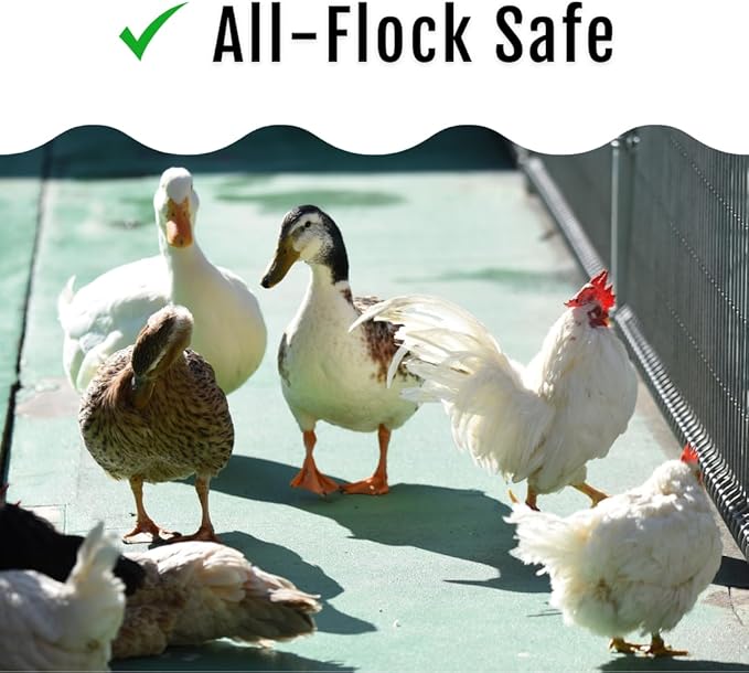 Grub Fuel Black Soldier Fly Larvae for Chickens - Nutrient-Packed BSFL, Sustainably Sourced Snack for Poultry, Rich in Protein, Calcium, Fiber, Essential Fatty Acids, USA Grown (1LB)-VerdiqueGarden