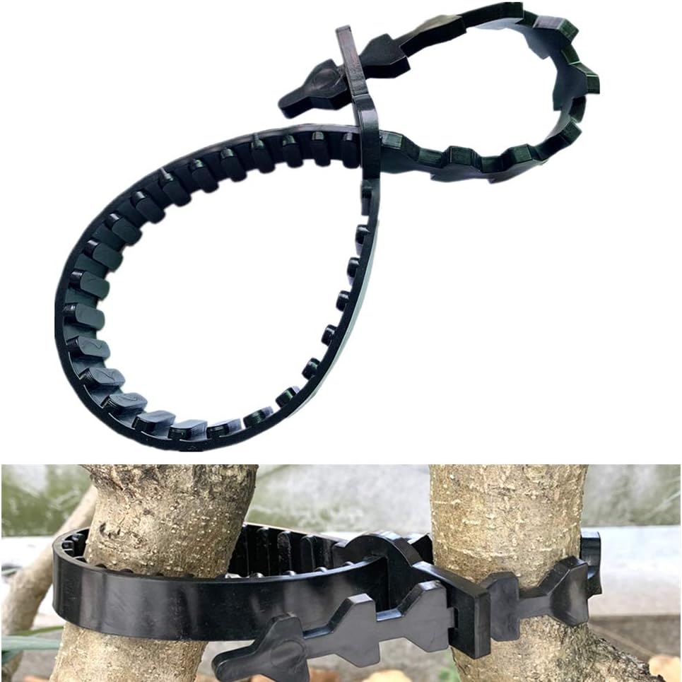 10 Pcs Tree Stake Supports Adjustable Tree Plant Ties Tree Training System, Heavy Duty Tree Stake Straps for Straightening, Reinforced Straps forTrees (5 Pcs 23.6 in + 5 Pcs 10.6 in)-VerdiqueGarden