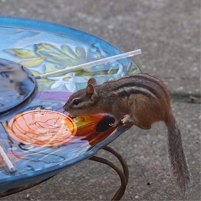 1Pack Bird Bath Copper Purification Disk | 0.6mm Reinforced 99.9% Pure Copper | Universal Fit for Outdoor Birdbaths(Birdbath Copper 1 Pack)-VerdiqueGarden