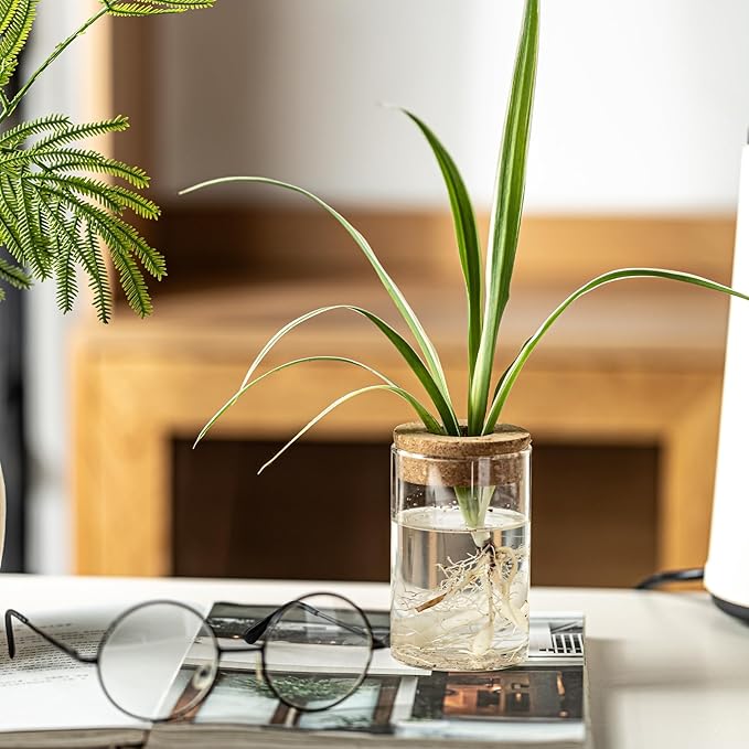 Glass Plant Propagation Stations for Plants – Set of 4(4 Large & 4 Small) Hydroponic Vases for Plant Cuttings,Flower Arrangements, Home & Office Decor–Desktop Vases for Living Room, Bedroom (8)-VerdiqueGarden