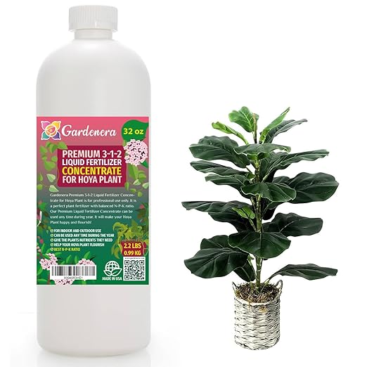Premium Liquid Fiddle Leaf FIG Plant Fertilizer - 3-1-2 Concentrate for Indoor Plants and Flowers by Gardenera | Organic Plant Food for Fiddle Leaf Fig - 32oz-VerdiqueGarden