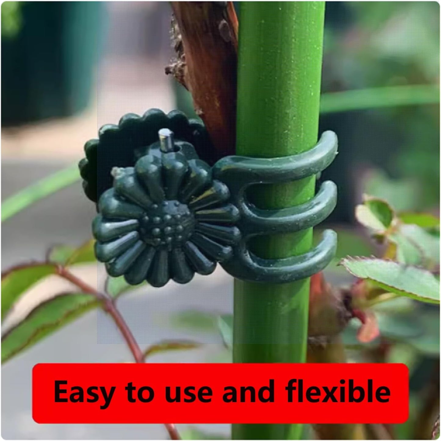 100Pcs Large Plant Clip,Daisy Garden Flower Plant Clip,for Orchids Vine Clip Support Stem Vine Upright Growth (Green)-VerdiqueGarden