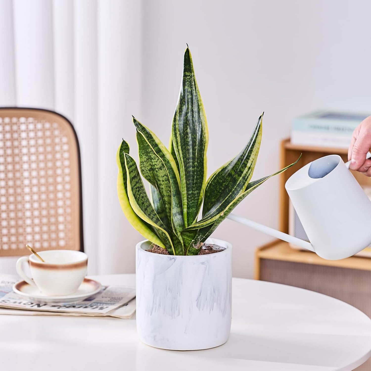 Ekirlin 6 Inch Resin Plant Pot Indoor - Natural Marble Texture Garden Planter with Drainage Hole, Removable Rubber Stopper and Non-Slip Soft Pad, Modern Succulents Containers for Home, Outdoor-VerdiqueGarden