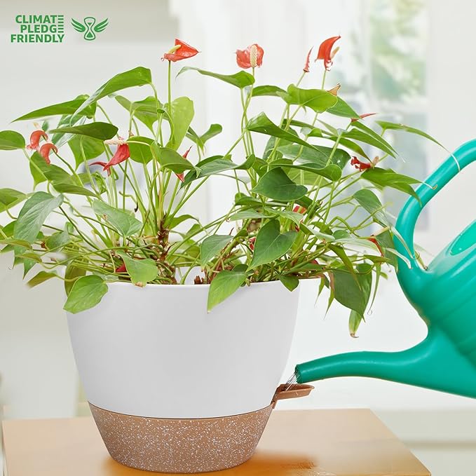 12 Inch Large Self Watering Plant Pot Set, Flower Pots with Multi-Mesh Drainage Holes and Saucer, Suitable for Indoor and Outdoor Garden Plants, White.-VerdiqueGarden