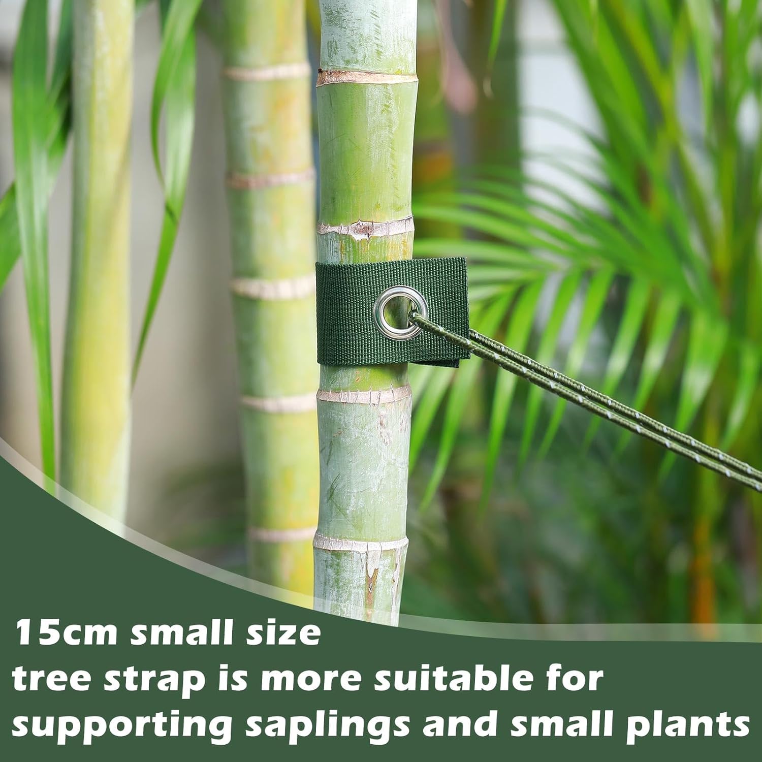 Sintuff 9 Set Heavy Duty Tree Stake Kit 5.91 Inches/ 15 cm Tree Straps for Staking and 13.12 ft/ 4 m Dock Lines Rope for Support Anchoring Home Leaning Plant Straightening Garden Tent (Green)-VerdiqueGarden