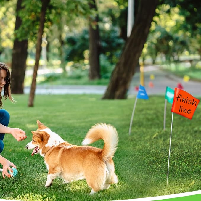Zozen Marking Flags, Fluorescent Orange Color/1000 Pcs/15x4x5 Inch, Yard Flags for Lawn & Irrigation & Landscape & Sprinkler & Survey & Dog Training.-VerdiqueGarden