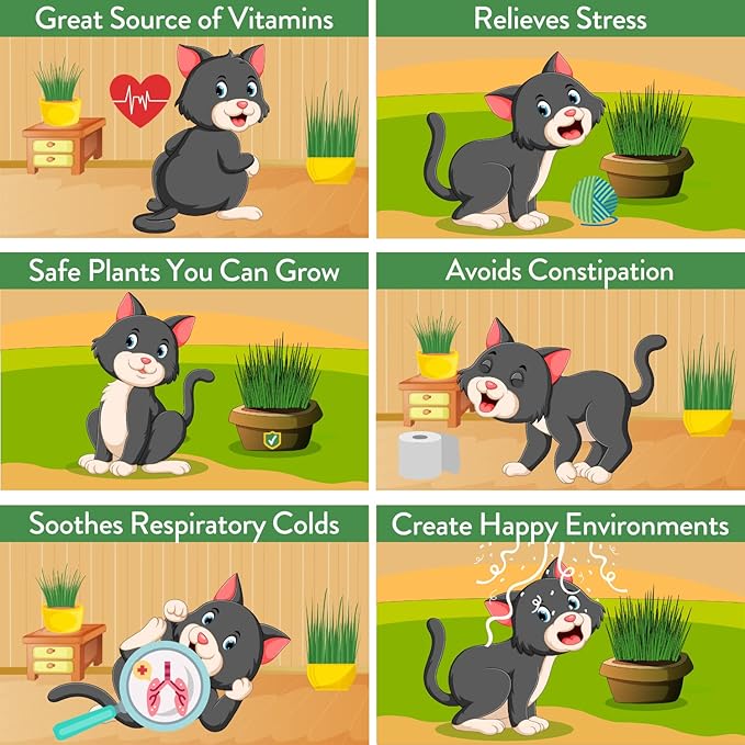 HOME GROWN Cat Grass Seed Mix – Non-GMO Oat, Alfalfa, Rye & Wheat Seeds for Cats | Indoor Pet Grass with Fast Germination | Digestive Aid, Hairball Relief & Safe Chew Alternative-VerdiqueGarden