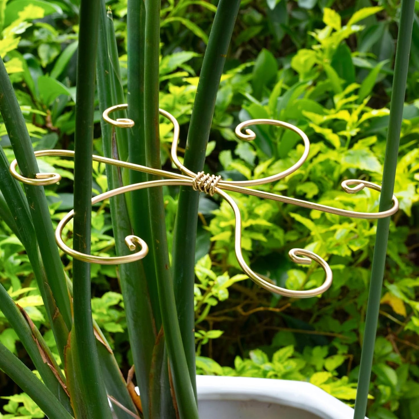 5PCS 7.5 Inch Monstera Plant Stem Support Hook - Premium Metal Structure for Indoor Plants, Durable and Elegant Stem Holder with Soft Touch Clips for Stable Growth-VerdiqueGarden