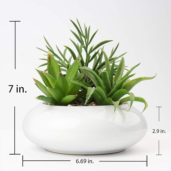 Hollyone Large Artificial Succulents Plants Faux Succulents in Pots Fake Succulent Plastic Potted Plants with White Ceramic Pot for Home Decor Office Desk Bathroom Shelf Living Room Decoration-VerdiqueGarden