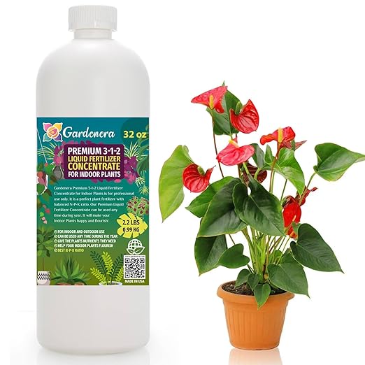 Premium 3-1-2 All Purpose Liquid Fertilizer Consentrate for All Indoor Plants & Flowers - Promotes Biomass Growth and Vibrant Leaf Color - 32oz Bottle-VerdiqueGarden
