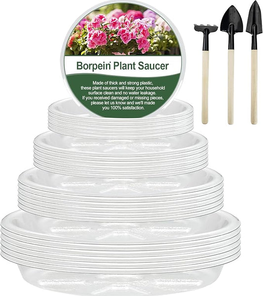 BORPEIN Plant Saucer (6,8,10,12inch, 24 Pack) Clear Plastic Plant Trays for Pots Indoors Outdoors, Thicker Flower Pot Saucers, Plant Plate to Catch Water-VerdiqueGarden