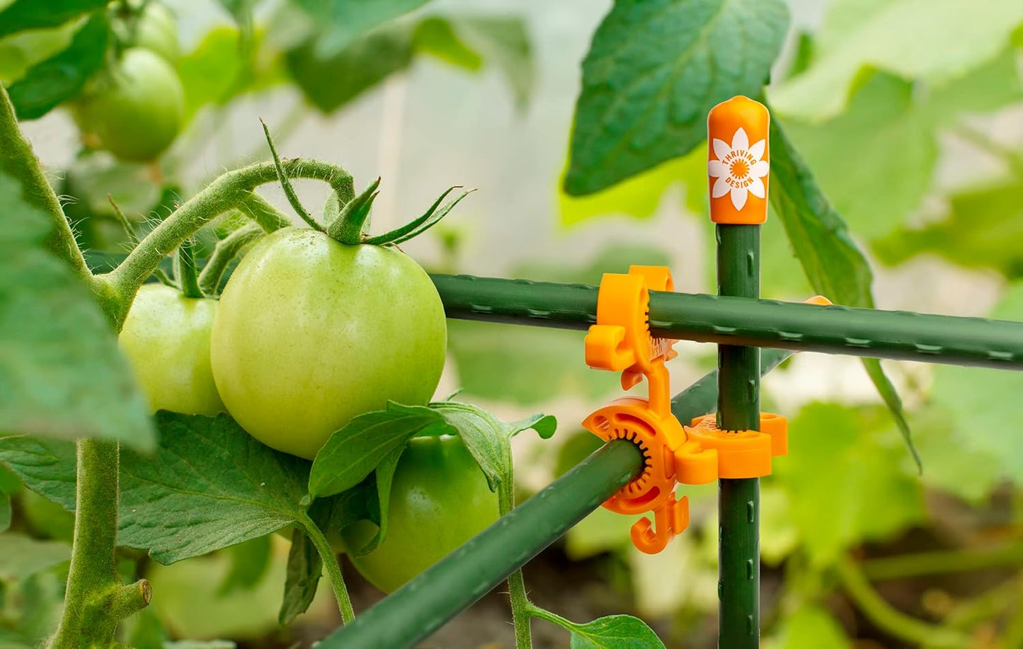 Plant Support Clips for Trellis, Garden Stakes, Wire Fence, Climbing Plants, Indoor Gardening, Hydroponics Systems, and Vines | Durable Gardening Clips (Incognito Green - 100 Pack)-VerdiqueGarden