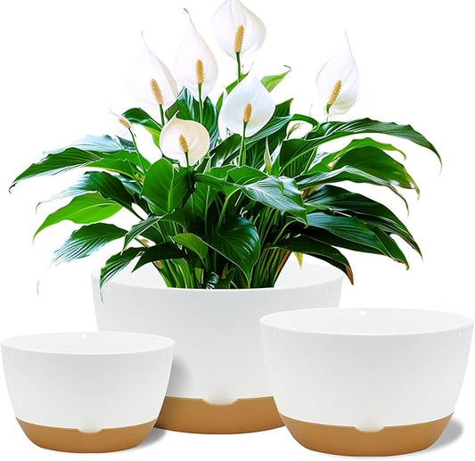 12 Inch Pots for Indoor Plants, Large Self Watering Planters with Drainage and Saucers, Plastic Outdoor Flower Pot, Set of 2, White-VerdiqueGarden