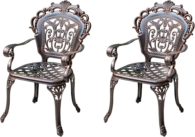 Outdoor Dining Chair Cast Aluminum Patio Chairs Set of 2 All-Weather Patio Dining Chair with Adjustable Feet for Backyard Garden (C-Style Finland Chair)-VerdiqueGarden