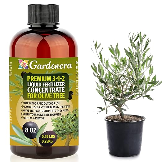 Premium Liquid Olive Tree Plant Fertilizer - 3-1-2 Concentrate for Indoor Plants and Flowers by Gardenera | Organic Plant Food for Olive Trees - 8oz-VerdiqueGarden
