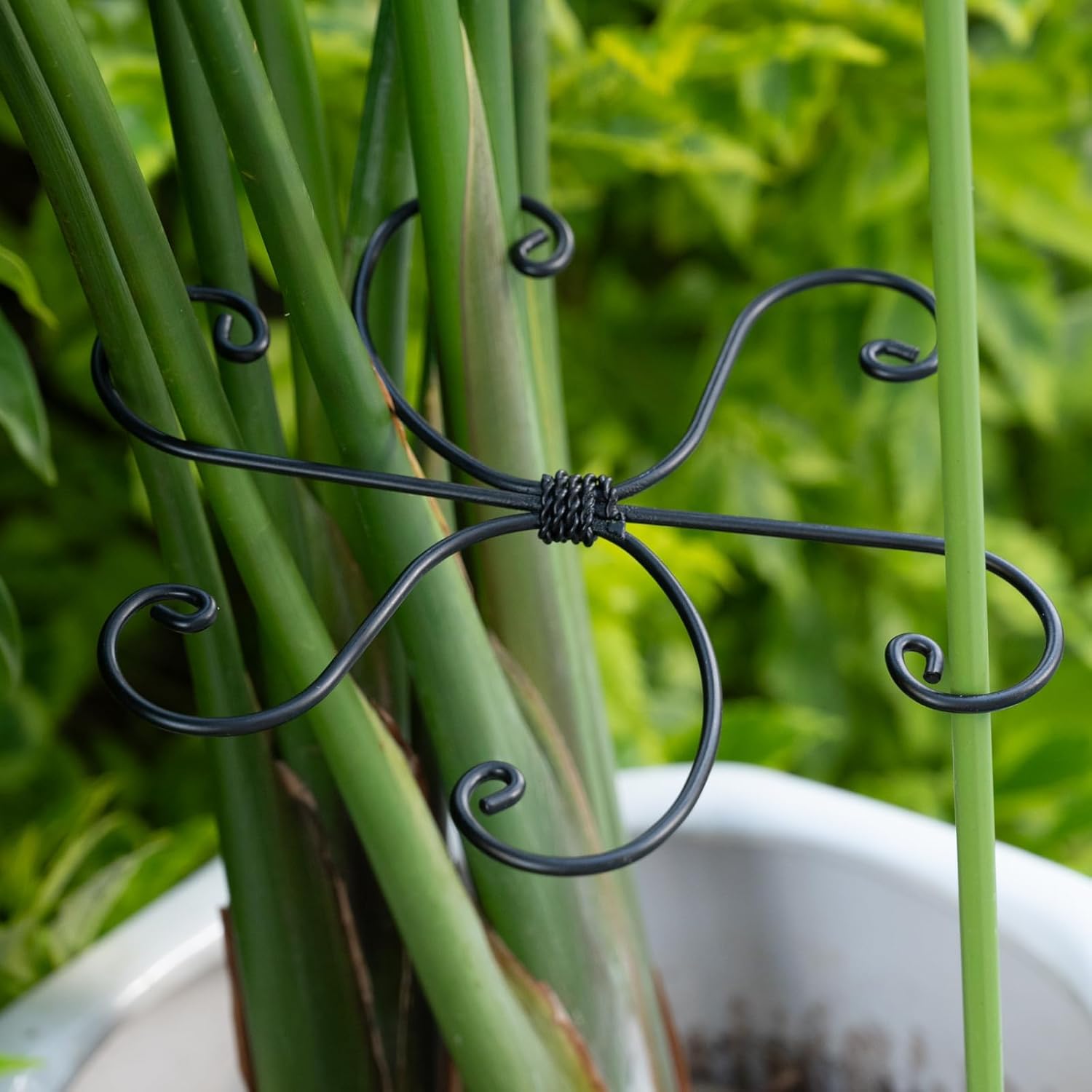 Black Monstera Plant Support Hook - 6.5 * 6.5IN -5 Piece Set, Durable Metal Stem Supports for Indoor Plants, Leaf Holder & Fishbone Cactus Stake, Stylish Design for Healthy Growth & Easy Care-VerdiqueGarden