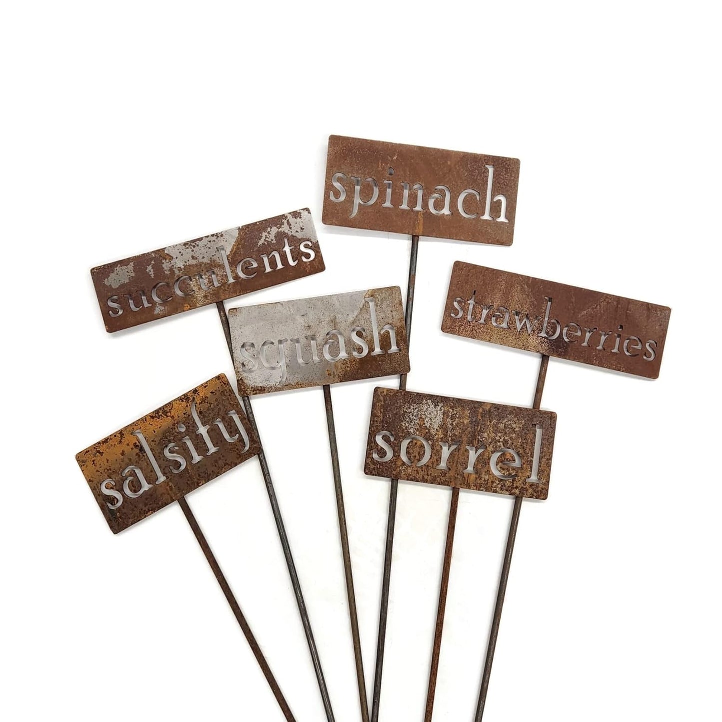 Classic Metal Garden Markers 19 Inches Tall (squash, Naturally Rusted)-VerdiqueGarden