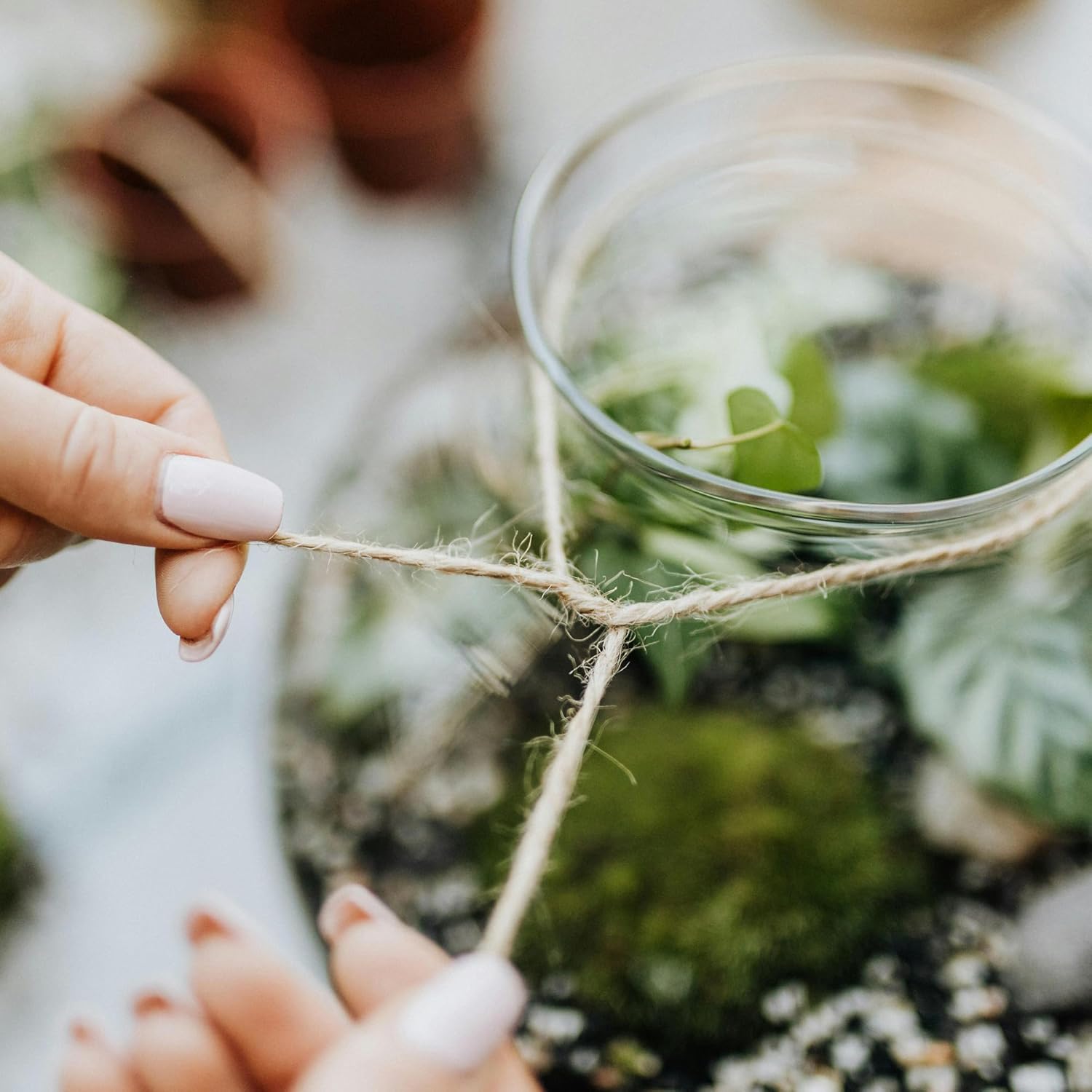 2mm x 1000 Feet Natural Jute Rope, Twine for Gardening Tomato Climbing Plant Tie Floristry Crafts Gift Wrapping Packing Decor-VerdiqueGarden