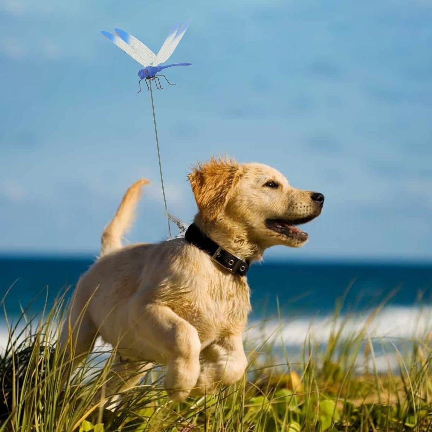 3D Fake Dragonfly Clip - Decorative Fly Repellent Clip Dragonfly Design for Home Garden Outdoor Decor & Pole Mounting-VerdiqueGarden