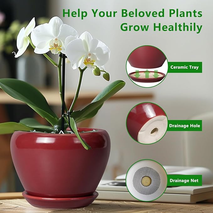 10 Inch Plant Pot - Ceramic Planter Pot with Drainage Hole and Saucer Large Planter for Indoor Plants Round Outdoor Flower Pot Mid-Century Decor Red-VerdiqueGarden