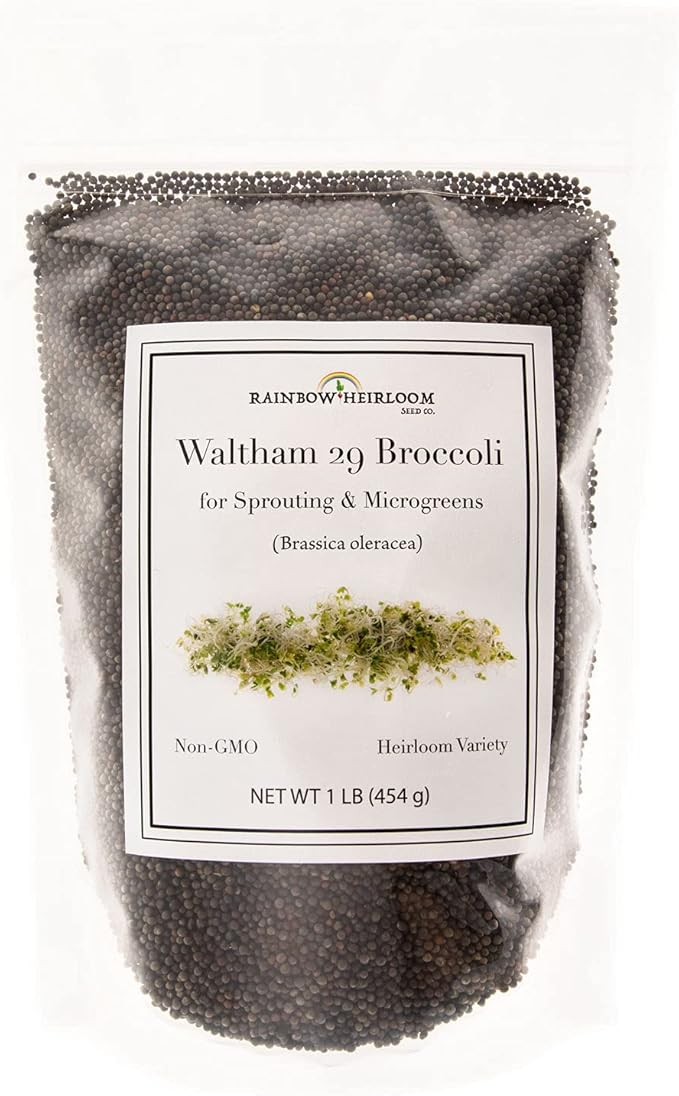 Broccoli Seeds for Sprouting & Microgreens | Waltham 29 Variety | Non GMO & Heirloom Seeds | Bulk 1 LB (16 oz) Resealable Bag | Rainbow Heirloom Seed Co.-VerdiqueGarden