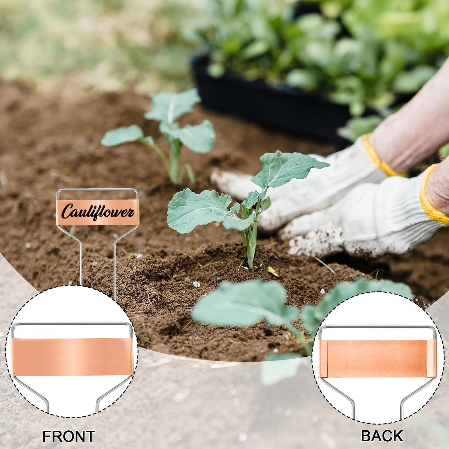 50 PCS Metal Plant Label Stakes Copper Metal Plant Tags 4 Inch Metal Garden Markers Waterproof Copper Plant Metal Labels with 2 Maker Pen for Flowers Garden Plant Vegetables Seedlings, Gold-VerdiqueGarden